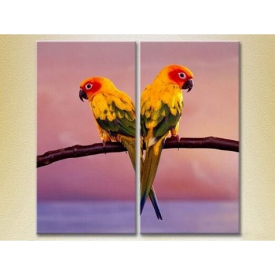 Картина ArtPoster Two parrots (2603022)