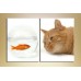 Картина ArtPoster Cat and goldfish (2603014)