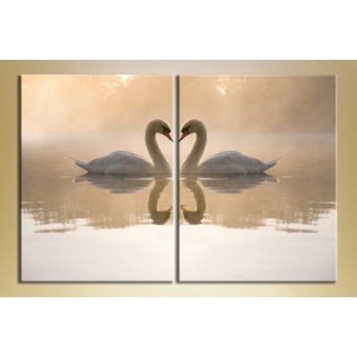 Pictură ArtPoster A pair of swans (2603016)