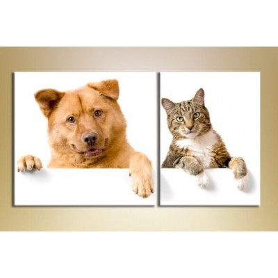 Картина ArtPoster Cat and dog (2603020)