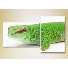 Картина ArtPoster Lizard (2602999)