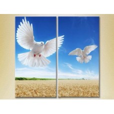 Картина ArtPoster Two doves in flight (2602994)