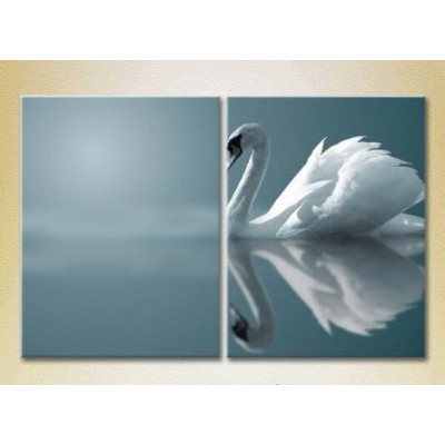 Картина ArtPoster White swan (2602995)