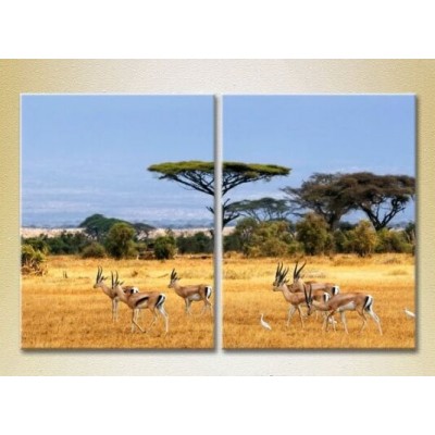 Картина ArtPoster African landscape 01 (2602996)