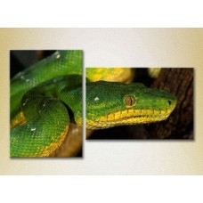 Картина ArtPoster Green snake 01 (2602998)