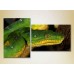 Картина ArtPoster Green snake 01 (2602998)