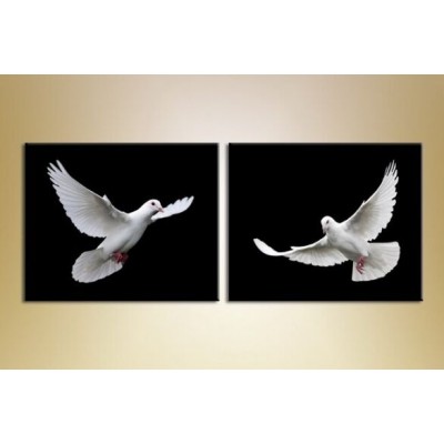 Картина ArtPoster White doves (2603018)