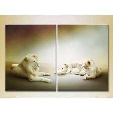 Картина ArtPoster Family of lions 01 (2603006)