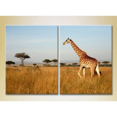 Картина ArtPoster Giraffe/Kenya/Africa (2603009)