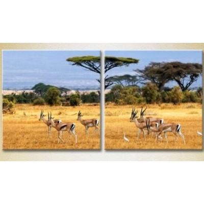 Картина ArtPoster African landscape 02 (2602980)