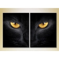 Картина ArtPoster Black cat eyes (2603001)