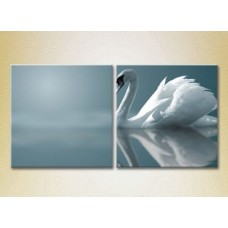 Картина ArtPoster White swan 01 (2602981)