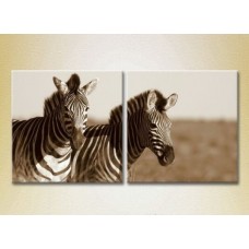 Картина ArtPoster A pair of zebras sepia 03 (2602985)