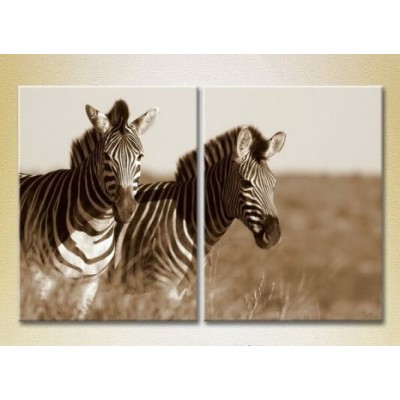 Картина ArtPoster A pair of zebras sepia 01 (2602986)