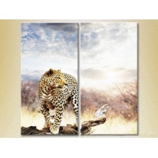 Картина ArtPoster Leopard on a log (2602988)