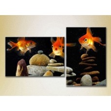 Картина ArtPoster Goldfish 01 (2602989)