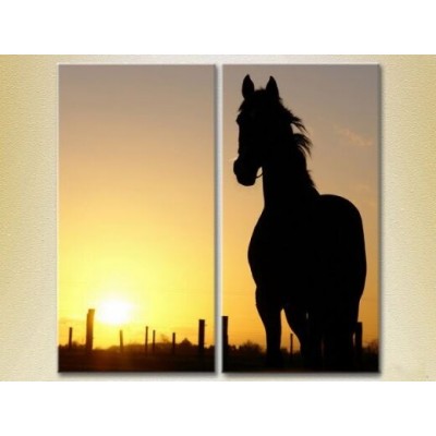 Картина ArtPoster Horse silhouette at sunset (2602990)