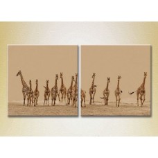 Картина ArtPoster Herd of giraffes 01 (2602993)