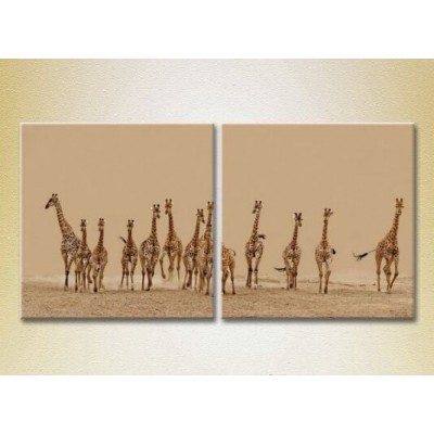 Картина ArtPoster Herd of giraffes 01 (2602993)