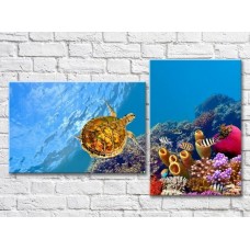 Картина ArtPoster Turtle with fishes in the sea (3453846)