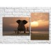 Pictură ArtPoster Dreaming elephant by the sea (3453841)