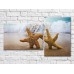 Pictură ArtPoster Two starfish in the sand (3453834)