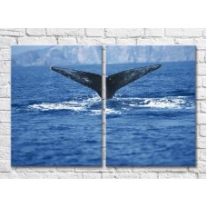 Картина ArtPoster Whale tail over water (3453826)