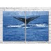 Картина ArtPoster Whale tail over water (3453826)