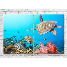 Картина ArtPoster Turtle and fish (3453817)