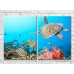 Картина ArtPoster Turtle and fish (3453817)