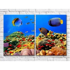 Картина ArtPoster Blue fish on the seabed (3453804)