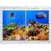 Pictură ArtPoster Blue fish on the seabed (3453804)