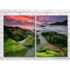 Картина ArtPoster A rocky coast covered with mud (3453806)