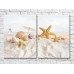 Картина ArtPoster Seashells and starfish in the sand (3453799)