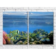 Картина ArtPoster Colorful fish swimming in the sea (3453793)