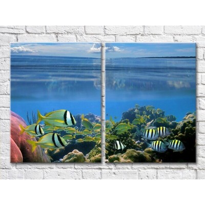 Картина ArtPoster Colorful fish swimming in the sea (3453793)