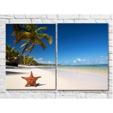 Картина ArtPoster Starfish on the beach with palm trees (3453764)