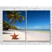 Картина ArtPoster Starfish on the beach with palm trees (3453764)