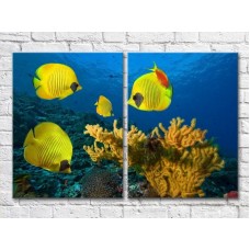 Картина ArtPoster Yellow fish and corals at the bottom (3453748)