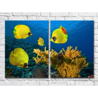 Картина ArtPoster Yellow fish and corals at the bottom (3453748)