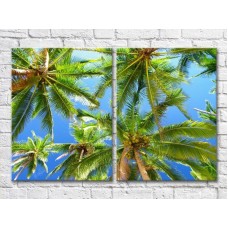 Картина ArtPoster Palm leaves against the sky (3453754)