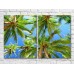 Картина ArtPoster Palm leaves against the sky (3453754)