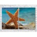 Pictură ArtPoster Big starfish on a Blue background (3453743)