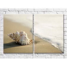 Pictură ArtPoster Large seashell on the shore and waves (3453730)