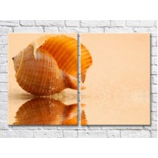 Картина ArtPoster Big seashell by the sea (3453717)