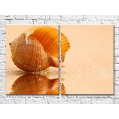 Картина ArtPoster Big seashell by the sea (3453717)