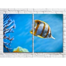 Картина ArtPoster Yellow striped fish in the sea (3453738)