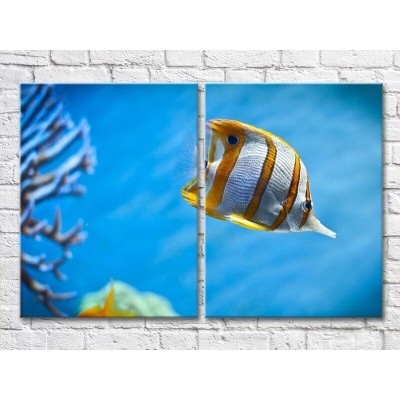 Картина ArtPoster Yellow striped fish in the sea (3453738)