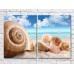 Картина ArtPoster Large seashells in the sand (3453713)