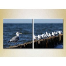 Картина ArtPoster Seagulls in Crimea (2164437)